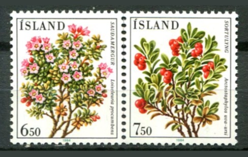 Island Afa 618 - 19 Postfrisk