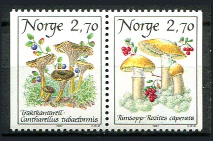 Norge Afa 971 - 72 Postfrisk Parstykke