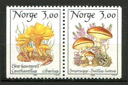 Norge Afa 1010 - 11 Postfrisk Parstykke