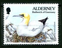 Alderney Afa 82 Postfrisk